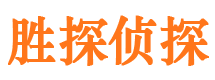 印台市侦探公司